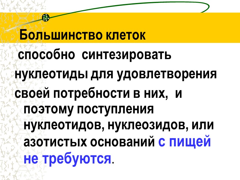 Большинство клеток  способно  синтезировать  нуклеотиды для удовлетворения своей потребности в них,